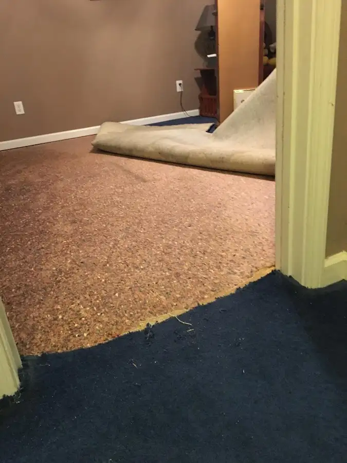 Carpet pad removal revealing water damage during Drying & Dehumidification in Rutland
