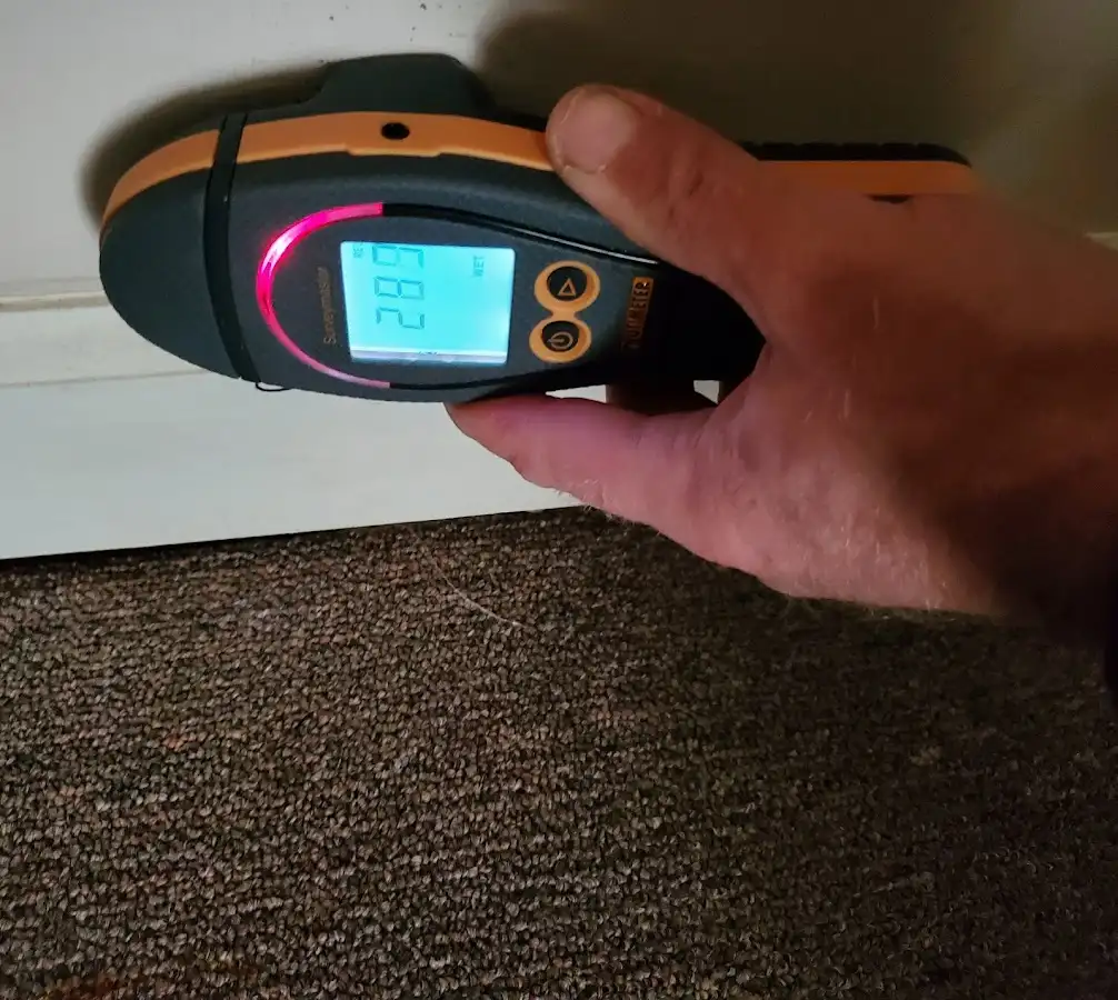 Moisture detection at baseboard during Sewage Cleanup & Sanitation in Rutland